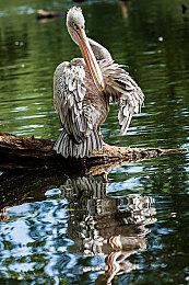 万代新作《乐高：大乱斗》公布 登陆全平台、今夏发售